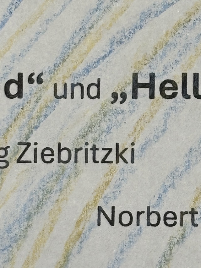 24.11.2025 - Bild online Ziebritzki Hummelt