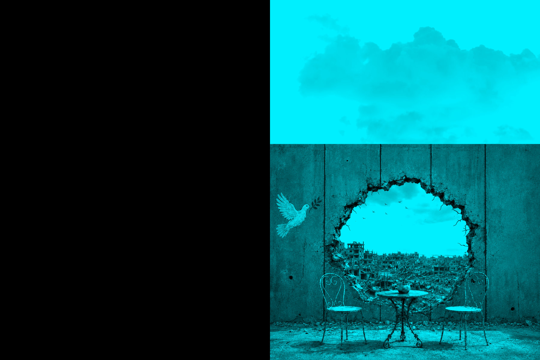 collage-V1-2